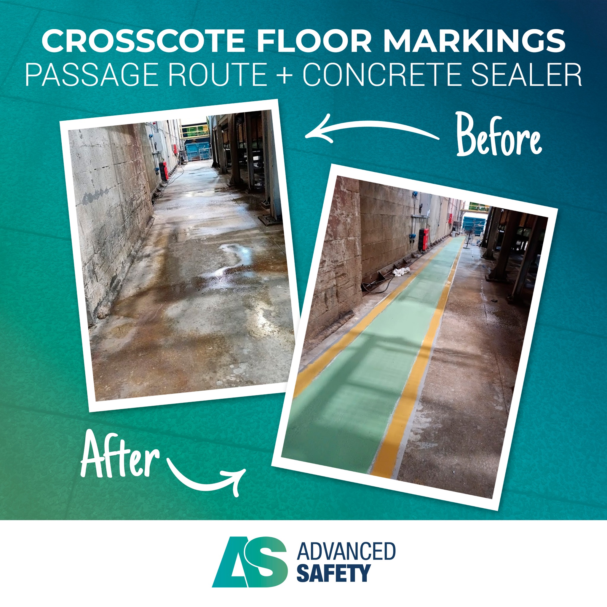 555099817_1264856848992166_6597237255859514091_n