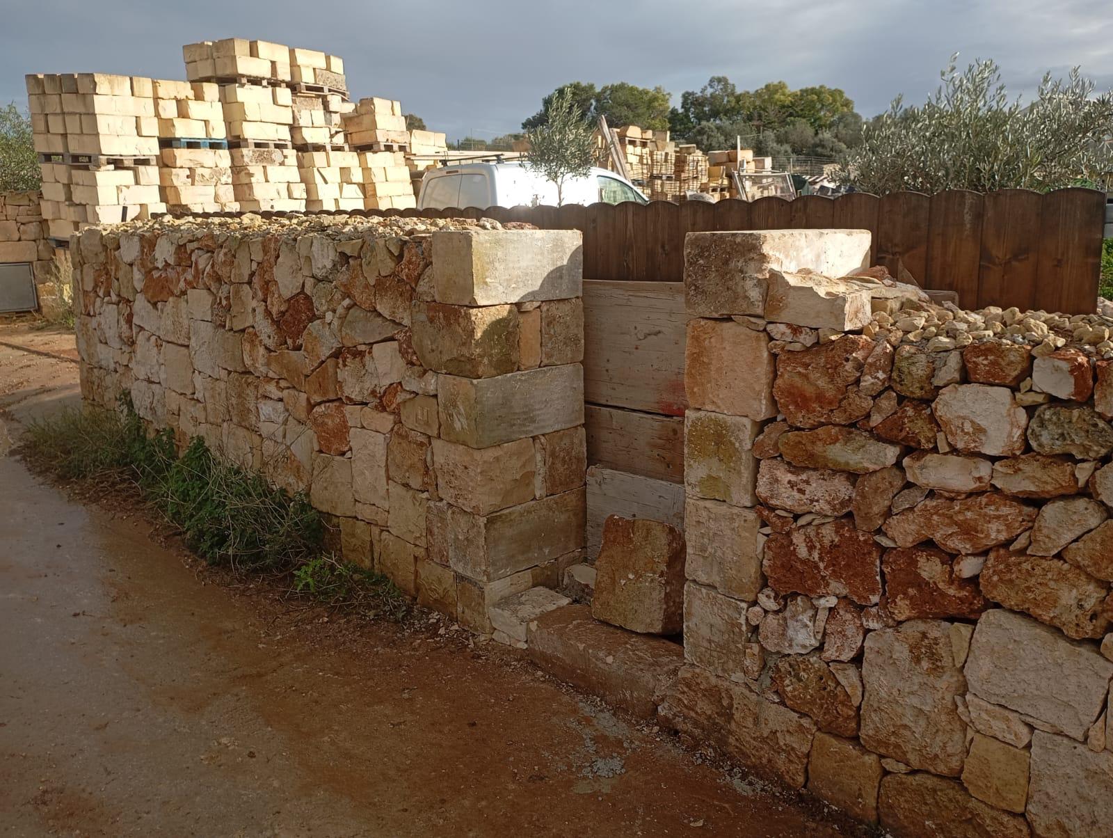 WhatsApp Image 2026-03-24 at 1.53.20 PM (1)