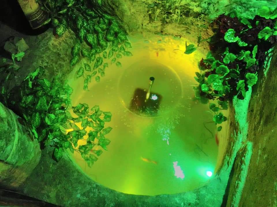 WhatsApp Image 2024-08-26 at 12.32.13 (1)