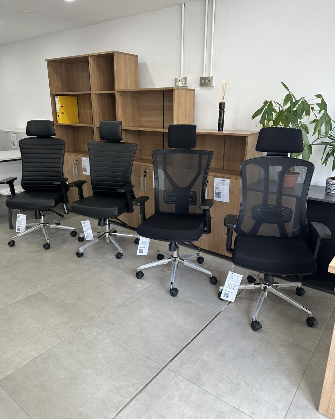 488969613_1102079665268790_7241881794828371367_n